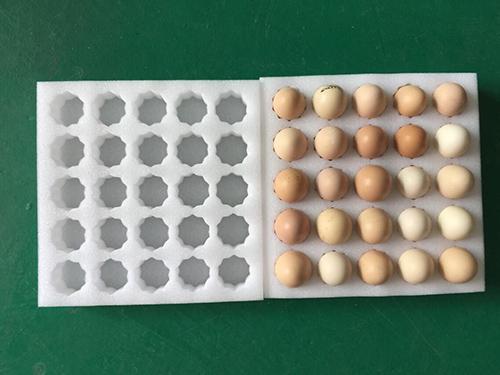 epe珍珠棉厂家鸡蛋物流防震保护用珍珠棉包装20/30枚0枚蛋托定做