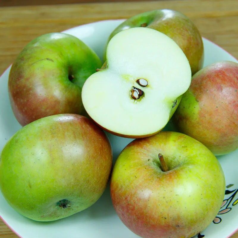 东北国光小苹果斤5斤2斤特产果光苹果3新鲜非富士水果批发厂代发