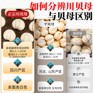 川贝母四川阿坝州野生川贝母粉颗粒平材非浙贝母