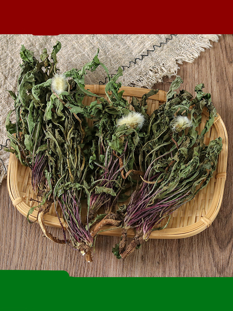 全株蒲公英根野生整根蒲公英茶正品中草药材非特级新鲜浦公英干货-阿