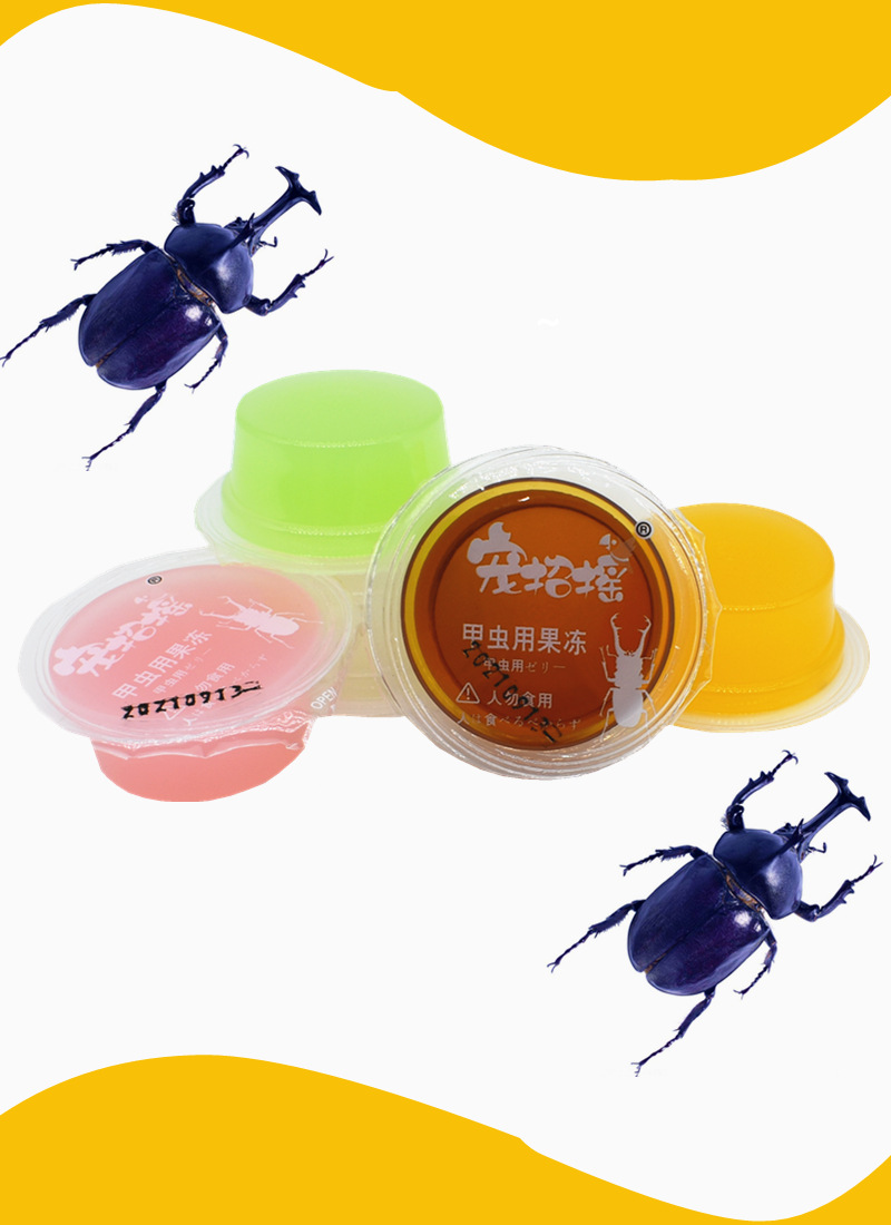 甲虫果冻独角仙果冻成兜虫长戟幼虫蚂蚁蛋白大扁锹甲食台昆虫食物