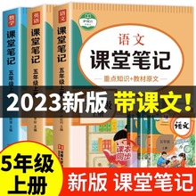 2023新版五年级上册课堂笔记语文数学英语全套人教版五上同步课本