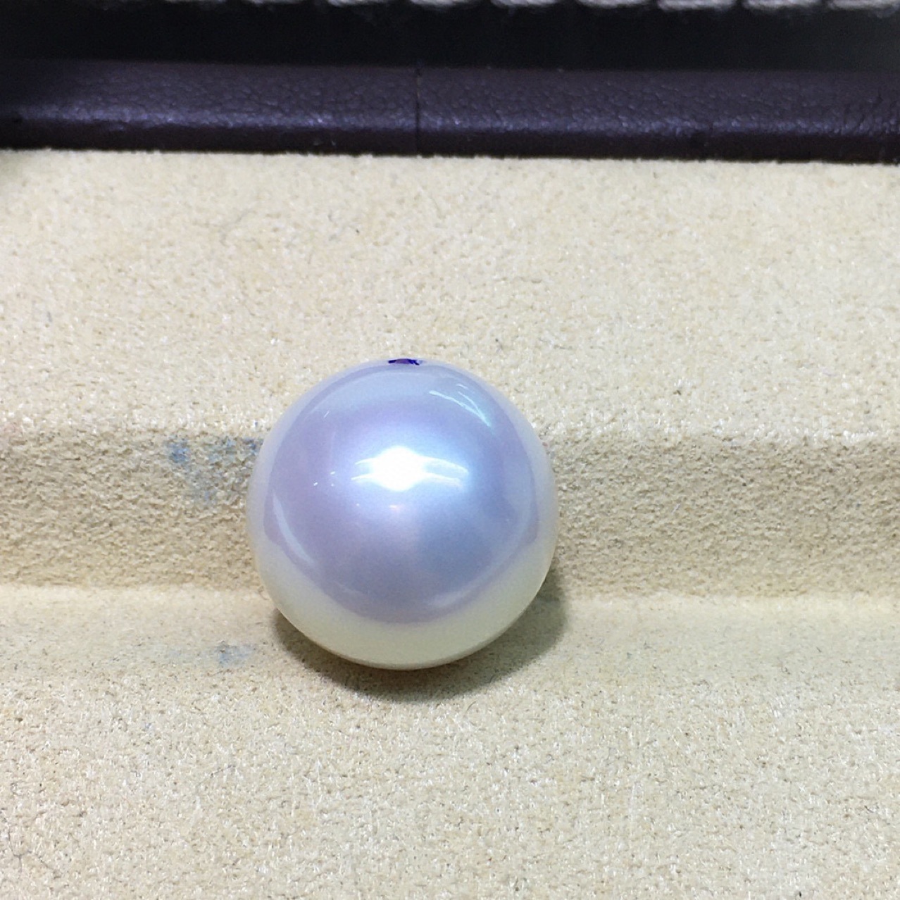 新货澳白珍珠 直径14.