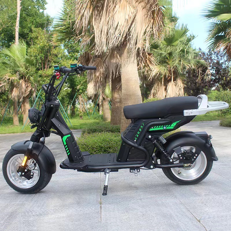 出口俄罗斯电动车coc哈雷车宽胎电瓶车citycoco e bike motorbike