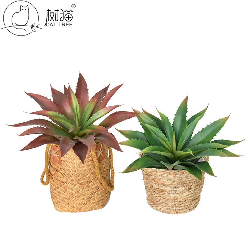 树猫仿真芦荟多肉植物盆栽21叶尖角芦荟塑胶花办公室装饰绿植摆件