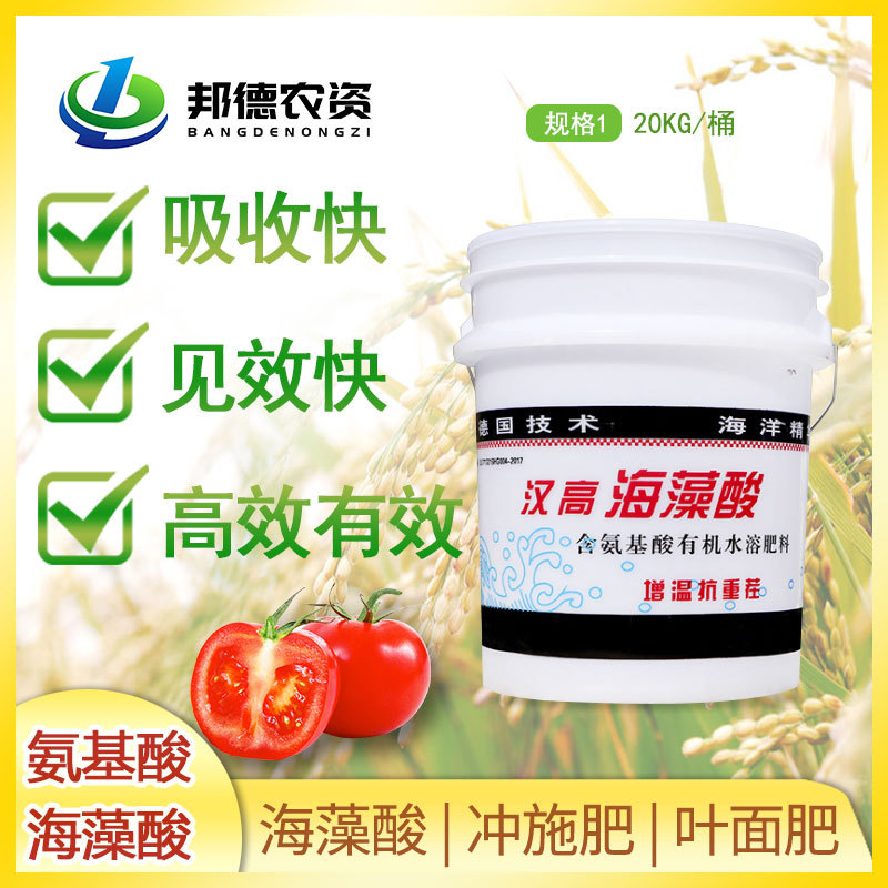 冲施肥 叶面肥 海藻酸桶肥液肥 20公斤/桶厂家直销现货
