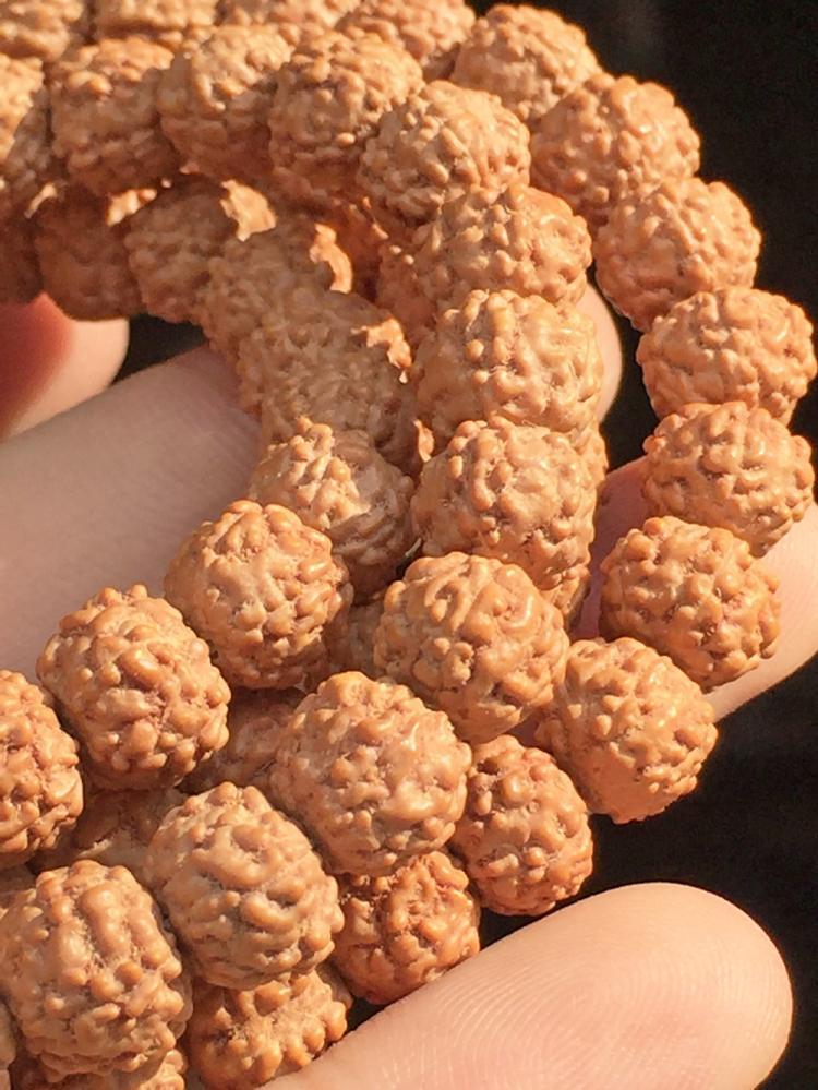 代发五5六瓣桩菩提蛤蟆鳞108小金刚龙手串矮金刚飞碟龙纹盘龙小金