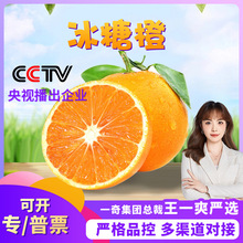 【彩箱】湖南麻阳冰糖橙 代发3斤爆甜水果新鲜橙橘子爆甜手剥橙子
