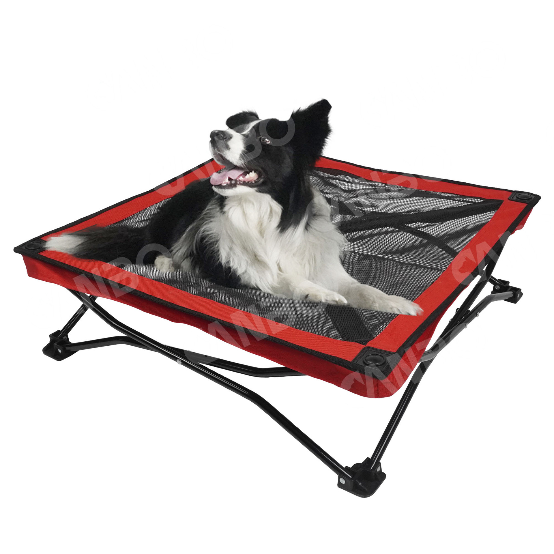 加工定制宠物床特斯林透气 狗狗行军床夏季户外透气防潮折叠床
