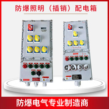 代工定制非标防爆配电箱按钮仪表照明动力接线箱消防电源模块空箱