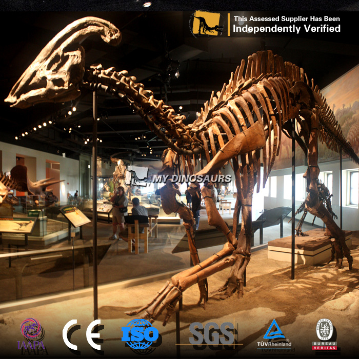 恐龙化石模型 超大号副栉龙骨架 玻璃钢仿真博物馆室内户外摆件