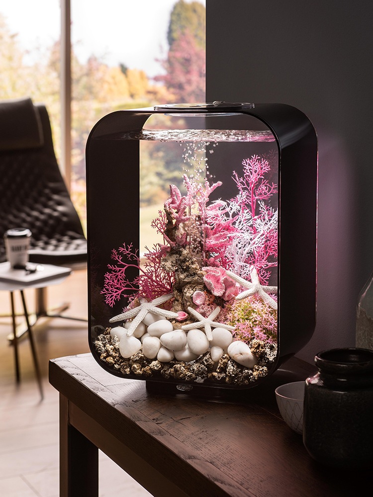 创意小鱼缸客厅家用桌面水族箱小型免换水生态懒人造景装饰