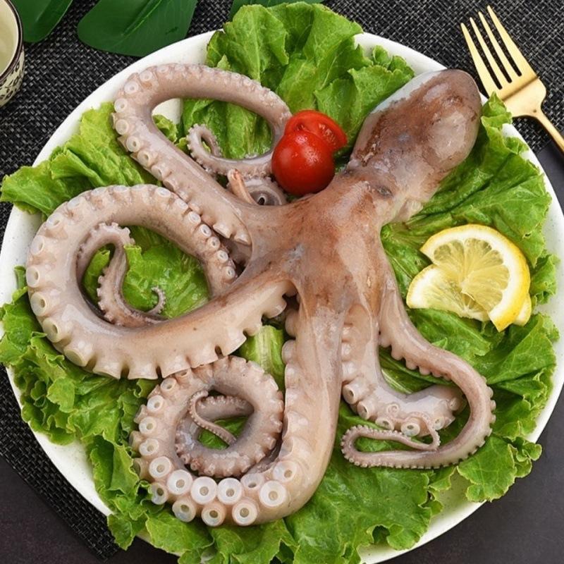 海鲜冻货批发爆头八爪鱼八爪鱼大爆头章鱼新鲜冷冻八带鮹海捕网红