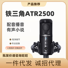 Audio-technica/铁三角ATR2500专业USB输出电容录音麦克风话筒