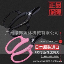 ARS爱丽斯ARS FP-17-BK/P花艺剪插花剪 园艺工具剪刀日本修枝剪