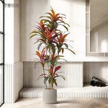 高品质仿真绿植巴西木盆栽室内沙发边落地装饰摆件假植物
