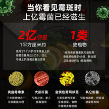 菜板抗菌防霉家用双面不锈钢切菜水果砧板厨房加厚案板刀板切菜虹