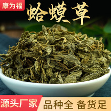 中药材蟾蜍草批发无杂荔枝草代打粉各种冷背药材现货代发蛤蟆草