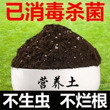 通用型营养土30斤种菜土花土种花养花种植土壤多肉绿萝种植有机肥