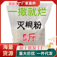 灭树粉烂树根剂灭根粉除树杀大树根药除烂根树木杂工厂直销爆款。