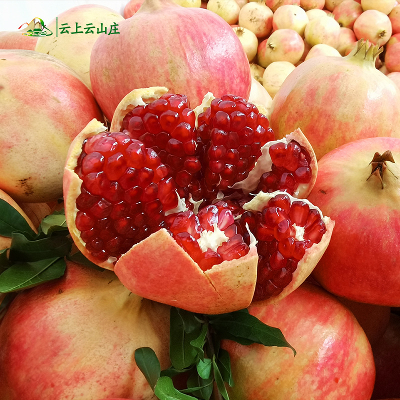 现摘新鲜河南荥阳河阴软籽突尼斯红石榴超甜果王特大果水果礼盒装