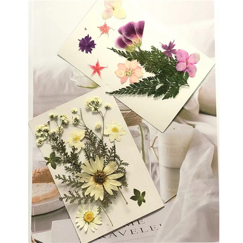 干花压花包批发押花组合幼儿手工材料树叶真花贴画花瓣妆植物标本