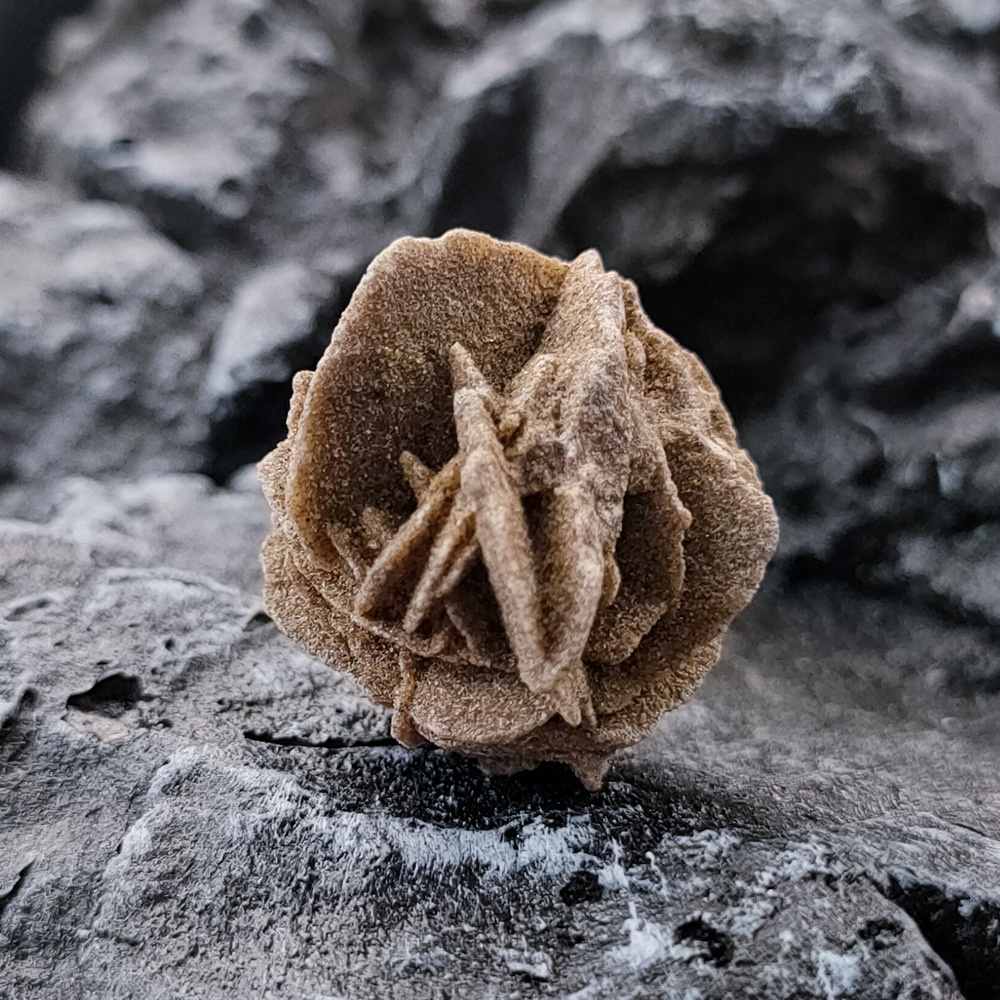 adenium obesum 摩洛哥沙漠玫瑰石矿物晶体矿石标本 水晶原石收藏