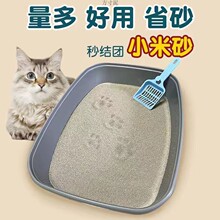 猫砂包邮20公斤砂斤膨润土无尘除臭40斤小颗粒结团香味细颗粒猫沙