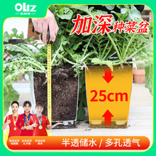 欧林泽阳台种菜盆专用长方形大号加深自吸水塑料花盆家用室内种植