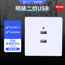 现货白色二位USB插座面板家装家用手机充电接口墙壁插座面板批发