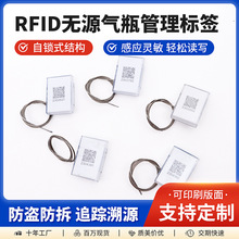 电子铅封超高频芯片RFID无源射频防爆煤气瓶智能管理追溯气瓶标签