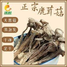 鹿茸菇干货批发无硫鹿茸菌新鲜无碎云南正宗鹿茸香菇食用菌菇