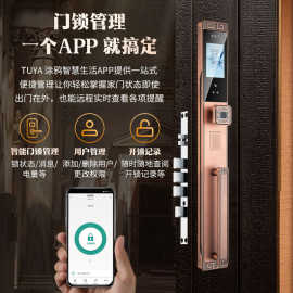 3D人脸识别智能锁别墅双开大门入户门家用防盗门指纹锁指纹解锁