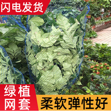 绿植保护网套 塑料绿植塑形定型保护网套 运输防护包装网套