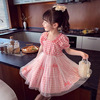 2021 Spring and summer girl baby Korean Edition leisure time lady temperament Dress braces skirt Suspender skirt