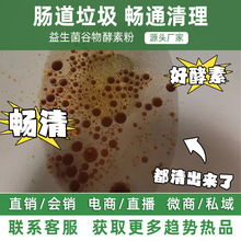 谷物复合酵素粉综合植物孝素台湾原料果蔬酵素固体饮料源头工厂