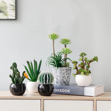 创意室内桌面假花绿植装饰摆件家居茶几植物盆栽仙人掌盆景玉