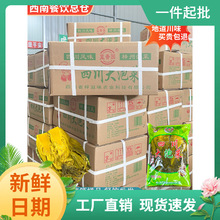 四川大泡菜商用泡青菜酸菜鱼酸菜米线老坛大袋装大叶30斤
