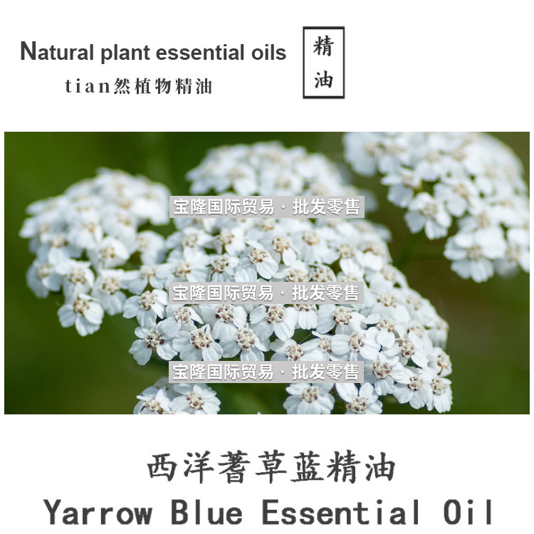 供应克罗地亚西洋蓍草精油yarrowblueoil单fang精油10ml