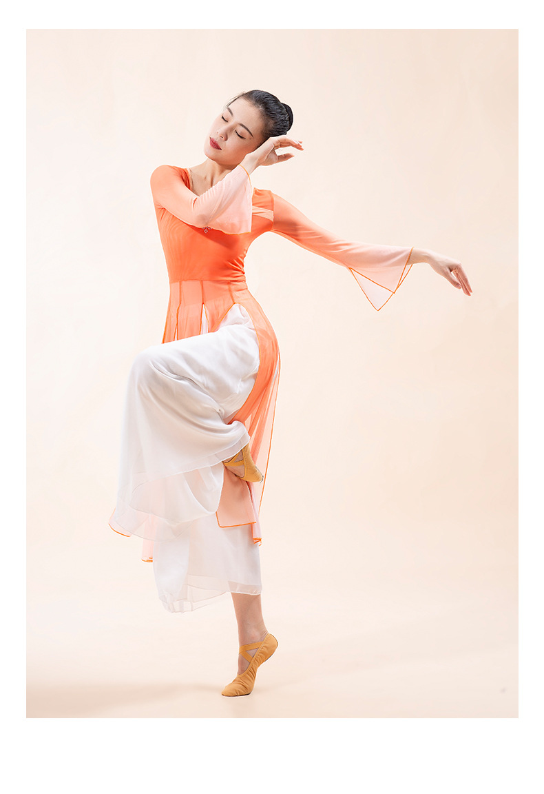 古典舞身韵纱衣舞蹈服装中国现代飘逸形体基训练功演出服连衣裙女