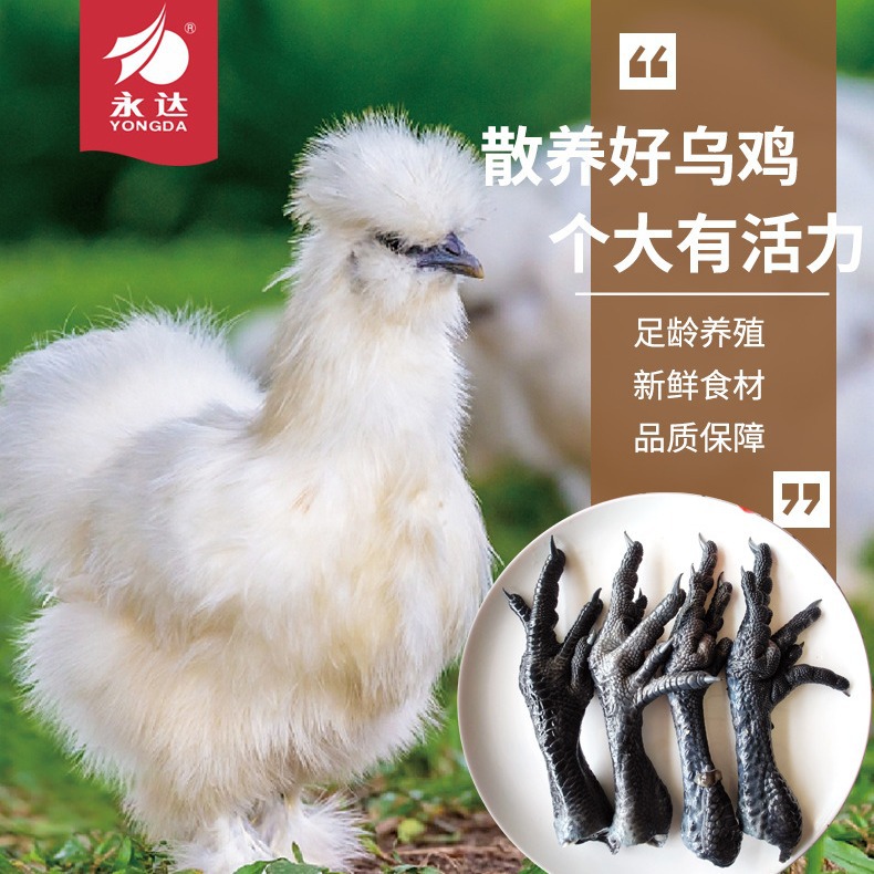 永达食品 板冻乌鸡爪-阿里巴巴