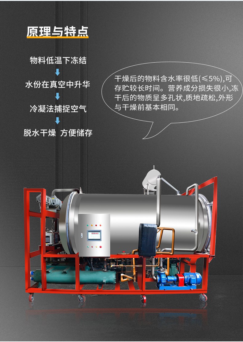 厂家商业真空冻干机新型果蔬冷冻干燥机草莓冻干机批发