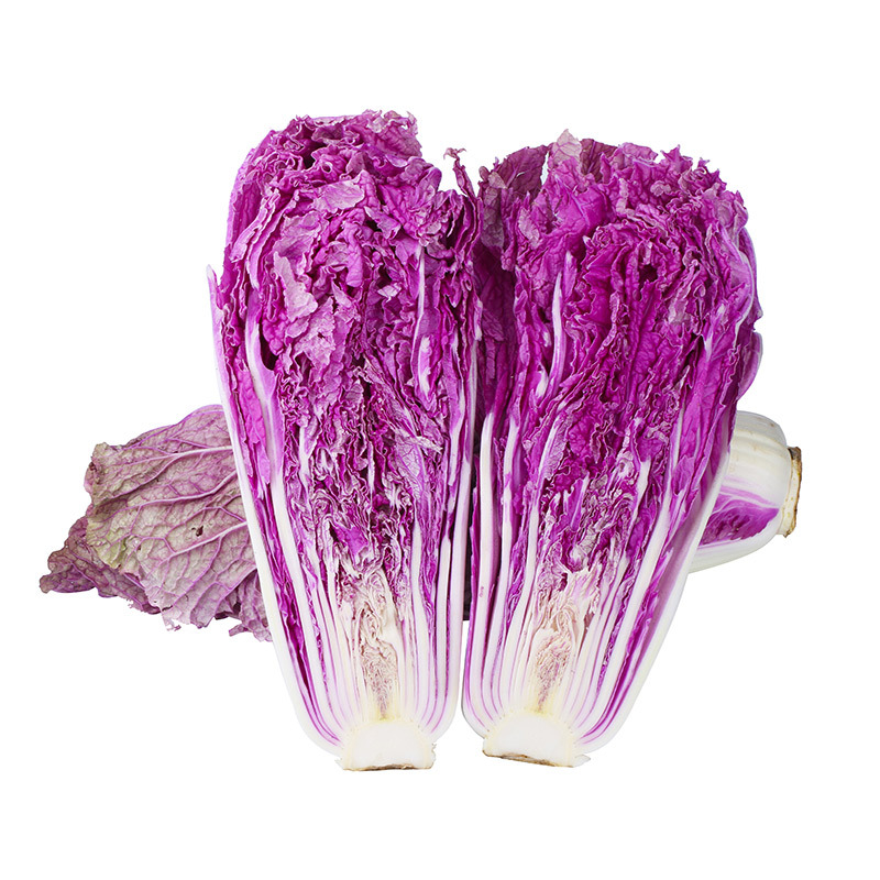 紫白菜
