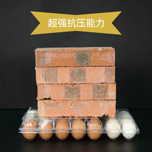 鸡蛋盒一次性塑料透明鸡蛋托中号鸡蛋鸭蛋鹌鹑蛋托盒厂家直销包邮