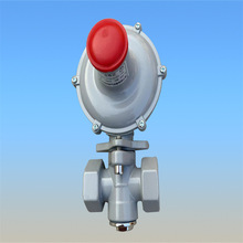 现货管道式天然气沼气稳压阀RTZ-20/0.4L(H )燃气调压器