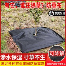 防草布批发生态除草地布果园农用保湿果树遮盖槟榔地膜厂家直销热