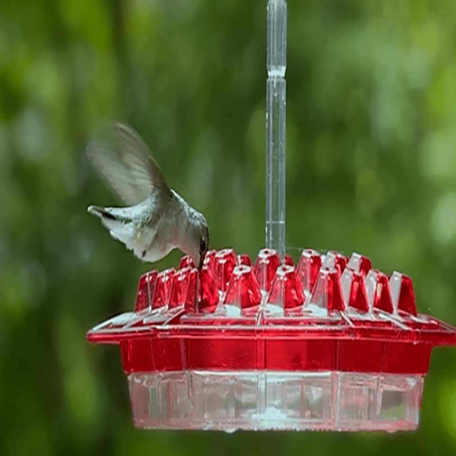 hummingbird feeder花朵喂鸟器悬挂式喂鸟器六边形红色鸟类喂食器