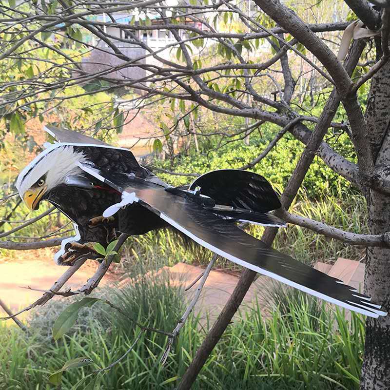 直供巨鹰遥控捕鹰用仿真大老鹰抓鸟用儿童玩具男孩遥控充电航模飞