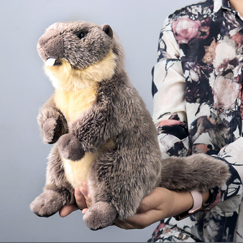 国家地理儿童节日礼物玩具pp棉仿真动物毛绒公仔10in土拨鼠玩偶