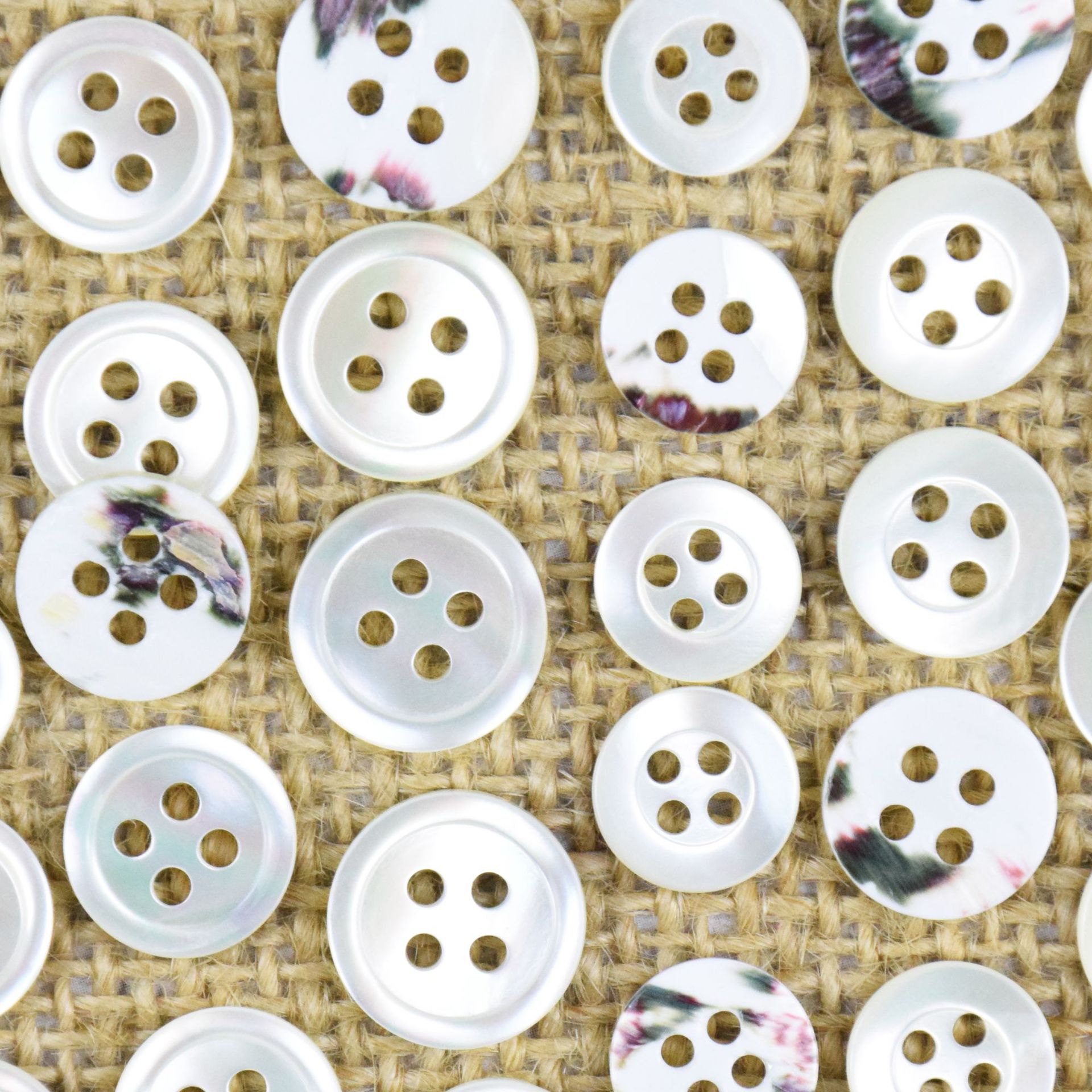 贝壳钮扣塔螺贝绿底细边宽边双面平纽扣高档t恤衬衫扣子厂家批发